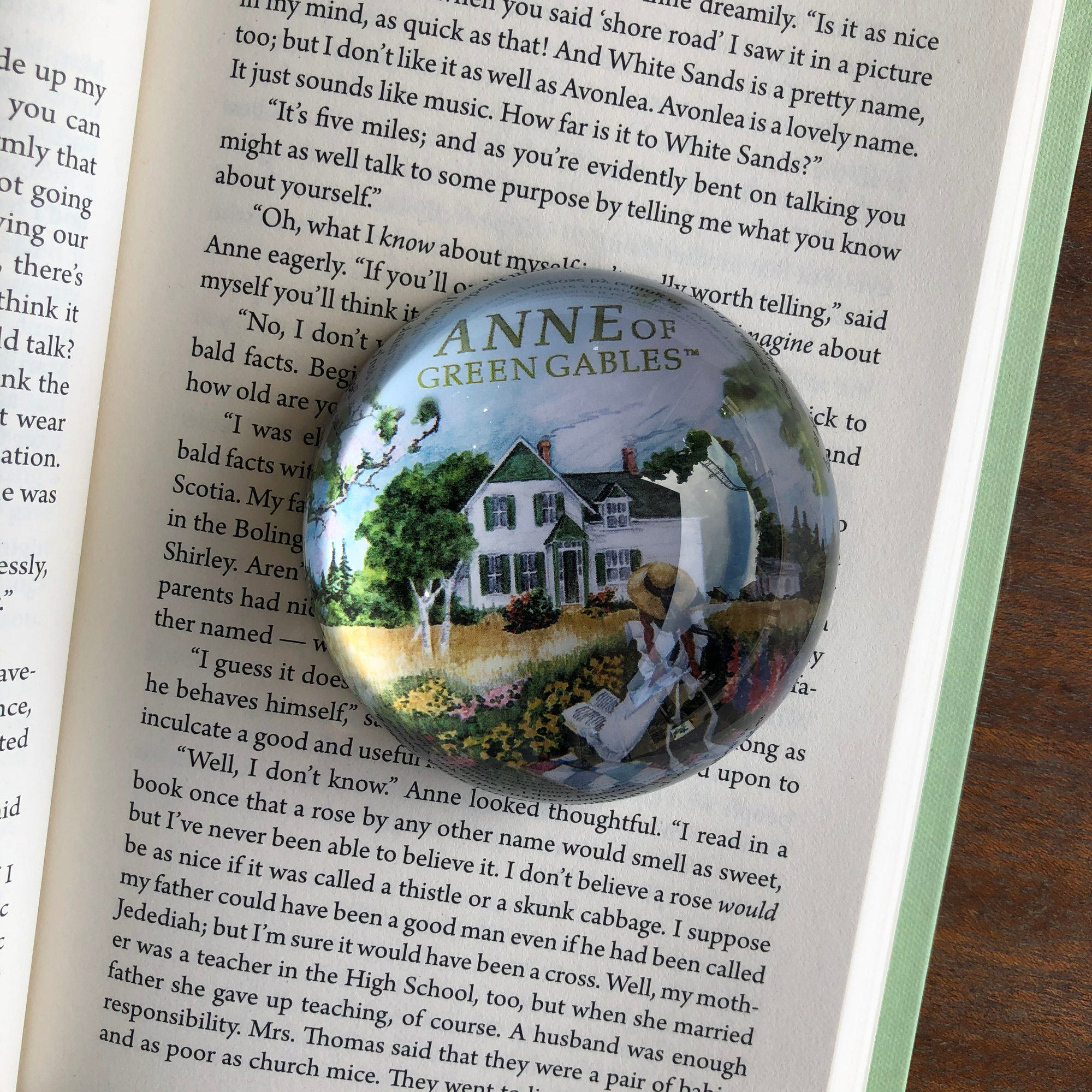 Anne of Green Gables Paper Weight