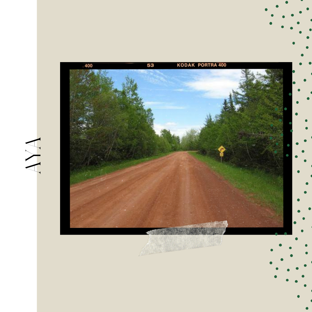 Anne Lovers Around The World! Part 3: AYA