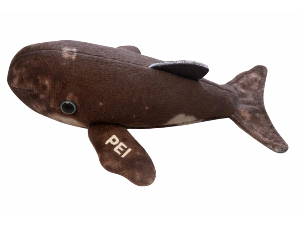 L'il 5" Plush Whale PEI