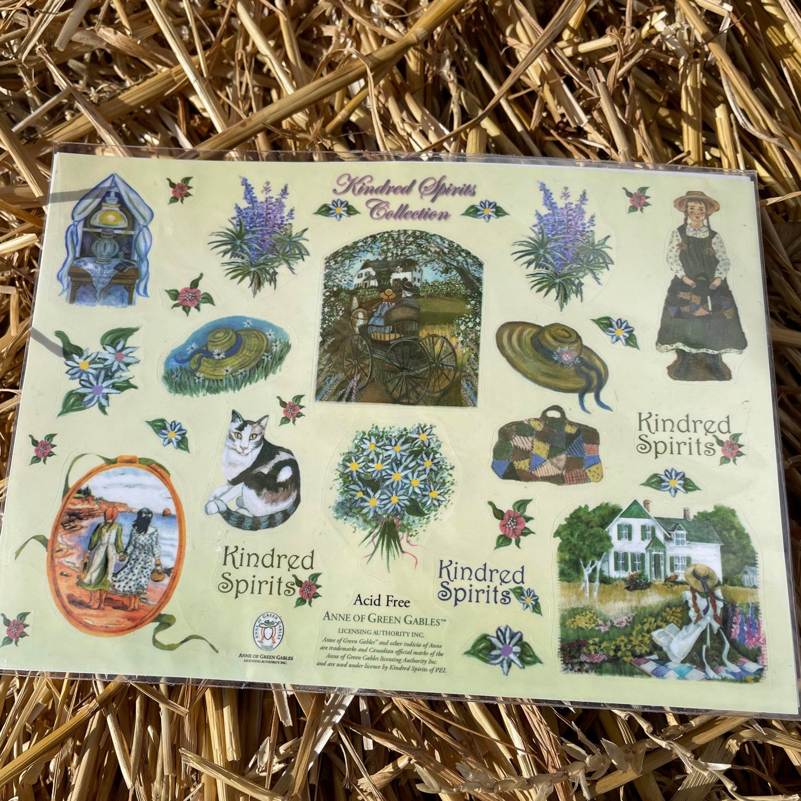 Anne on Quilt Sticker Collage