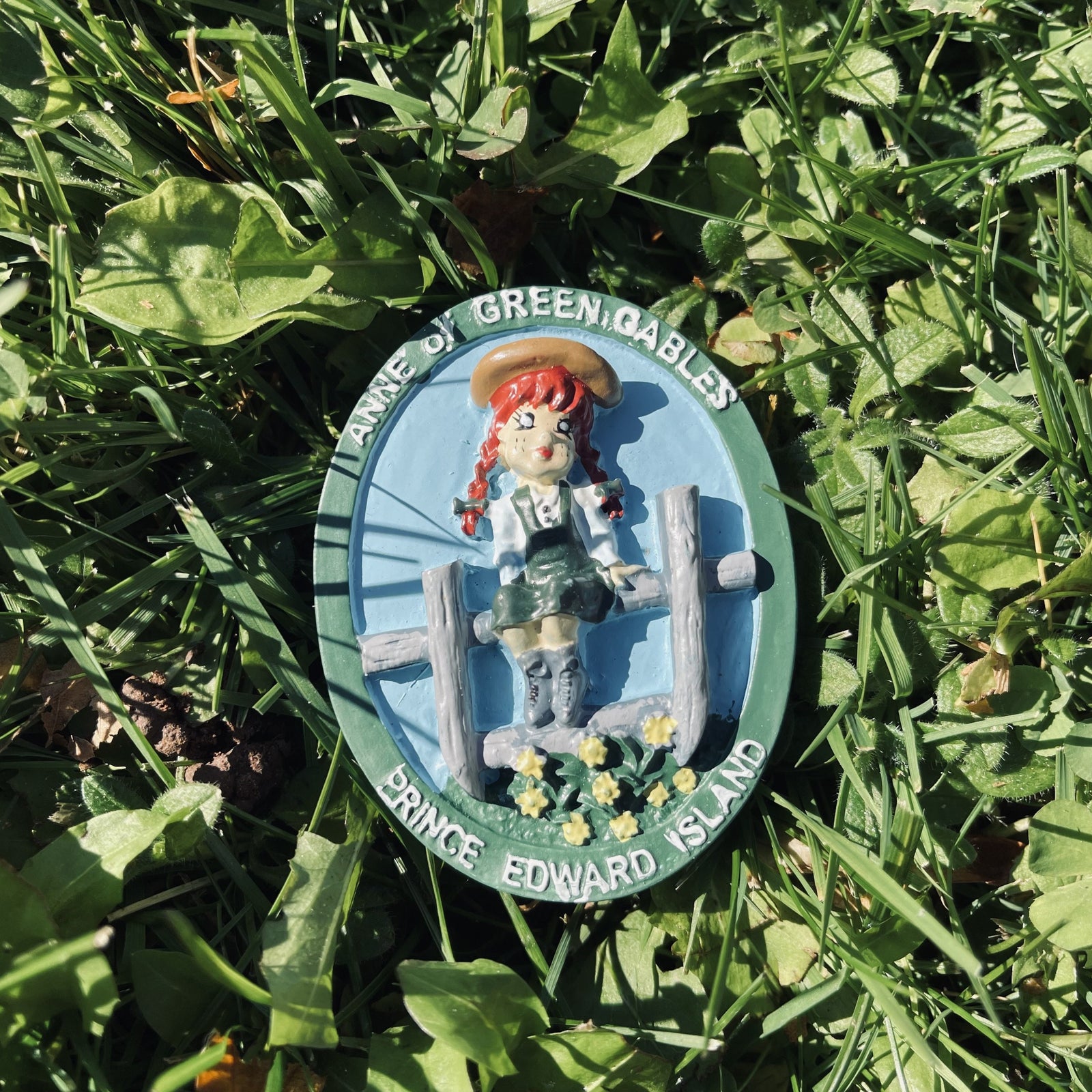 Anne on Fence Magnet