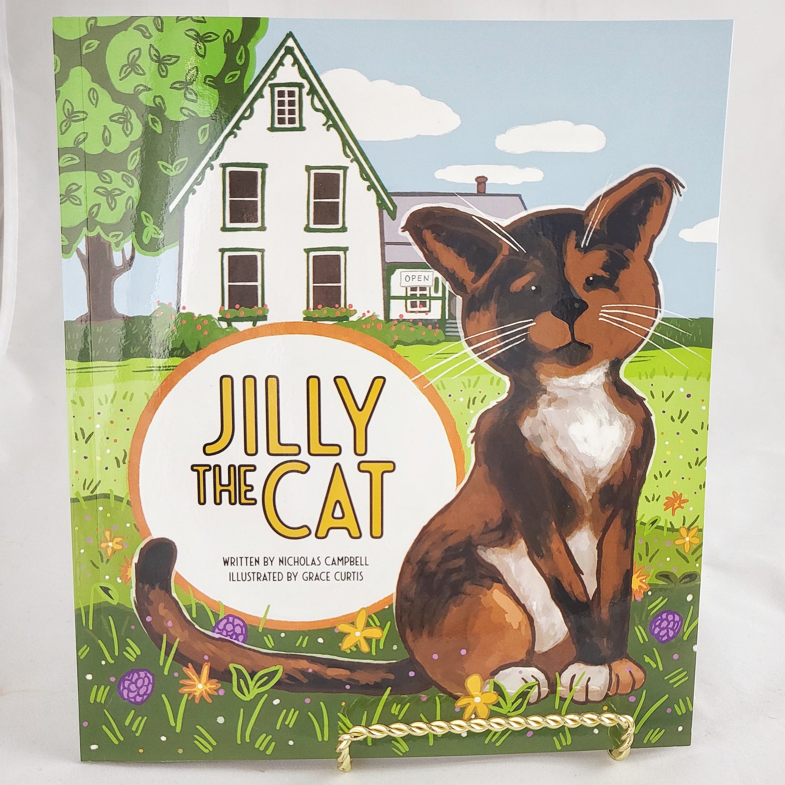 Jilly The Cat Children's Book